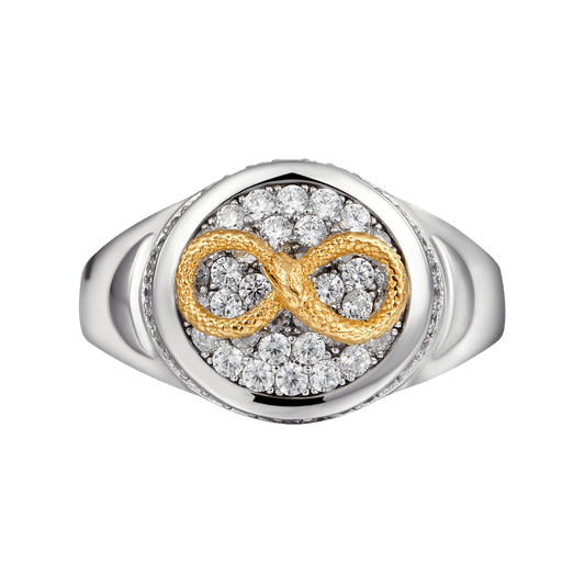 Infinity Snake Signet Ring