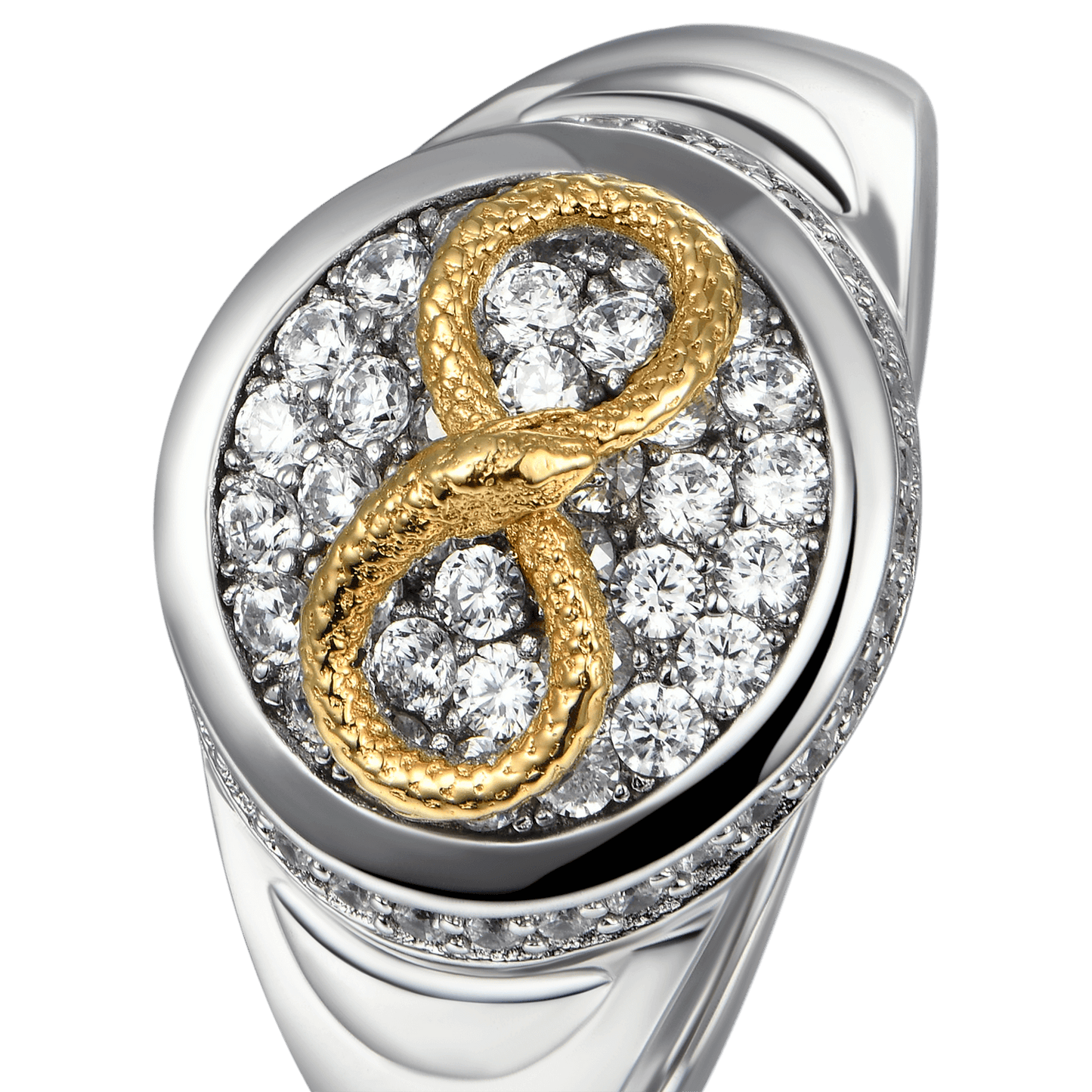 Infinity Snake Signet Ring