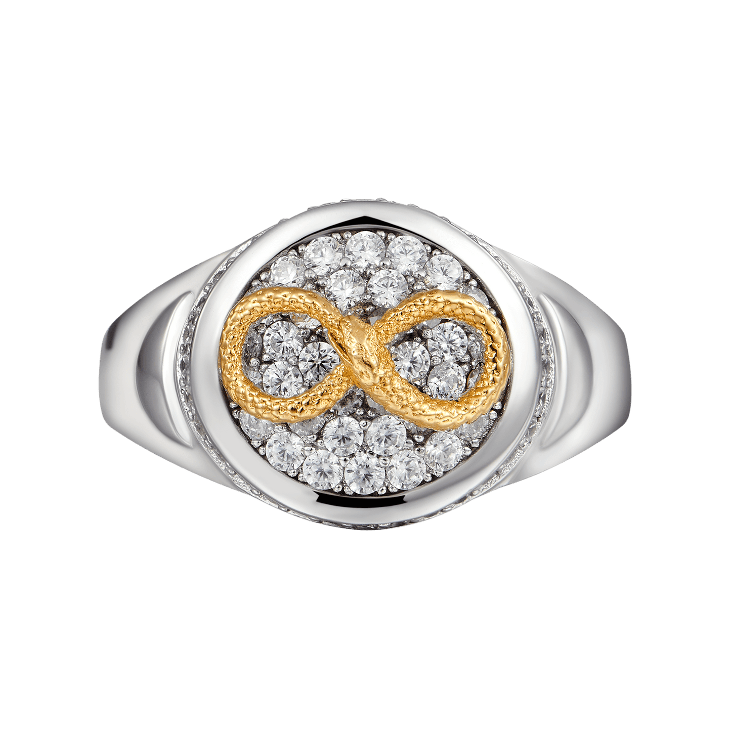 Infinity Snake Signet Ring