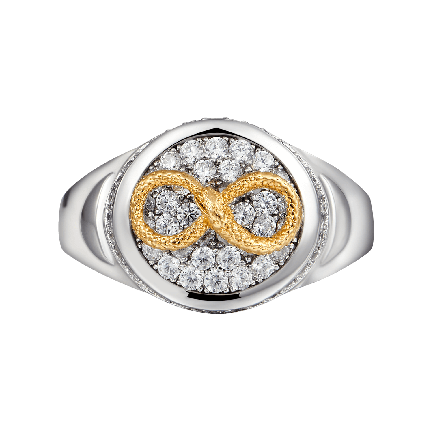 Infinity Snake Signet Ring