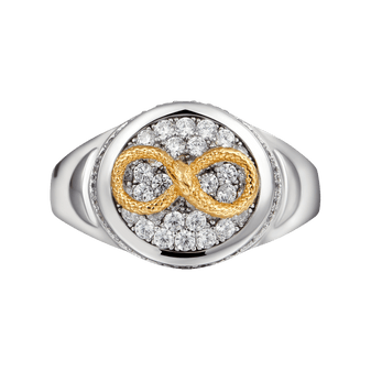 Infinity Snake Signet Ring
