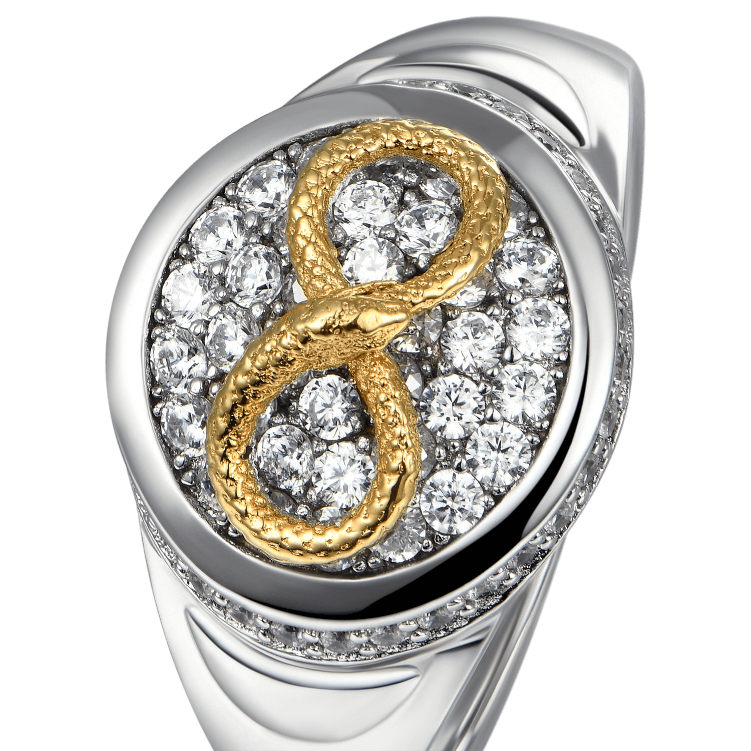 Infinity Snake Signet Ring